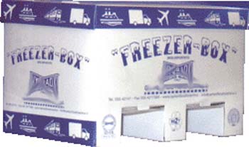 box frigo cartone