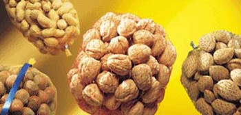 reti tubolari per frutta secca