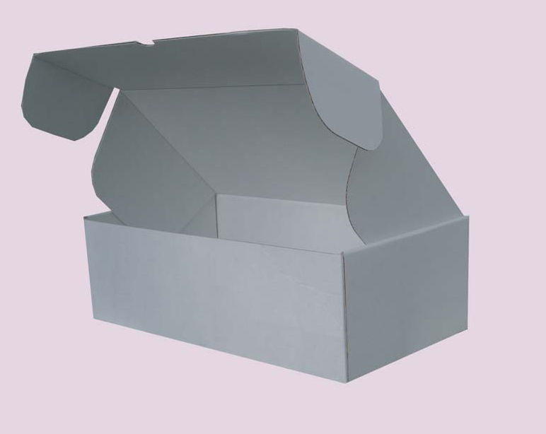 astuccio fustellato automontante 330 x 183 x 105mm