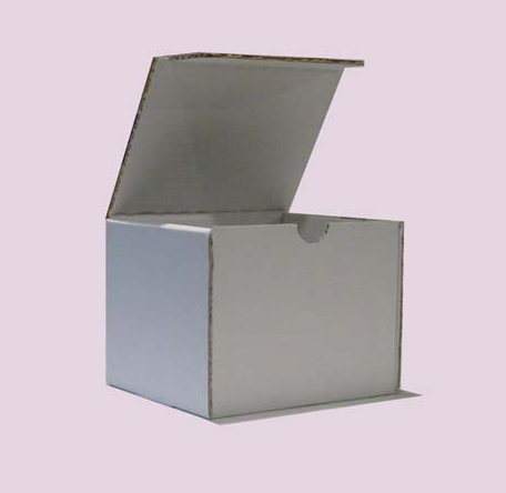 astuccio fustellato automontante 125 x 120 x 105mm