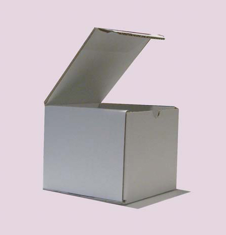 astuccio fustellato automontante 110 x 110 x 100