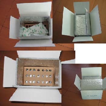 scatole temperatura controllata